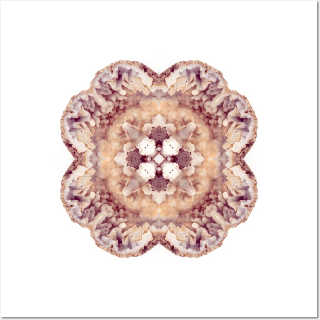 Mandala - Agatized Coral Wall Art by FITmedia